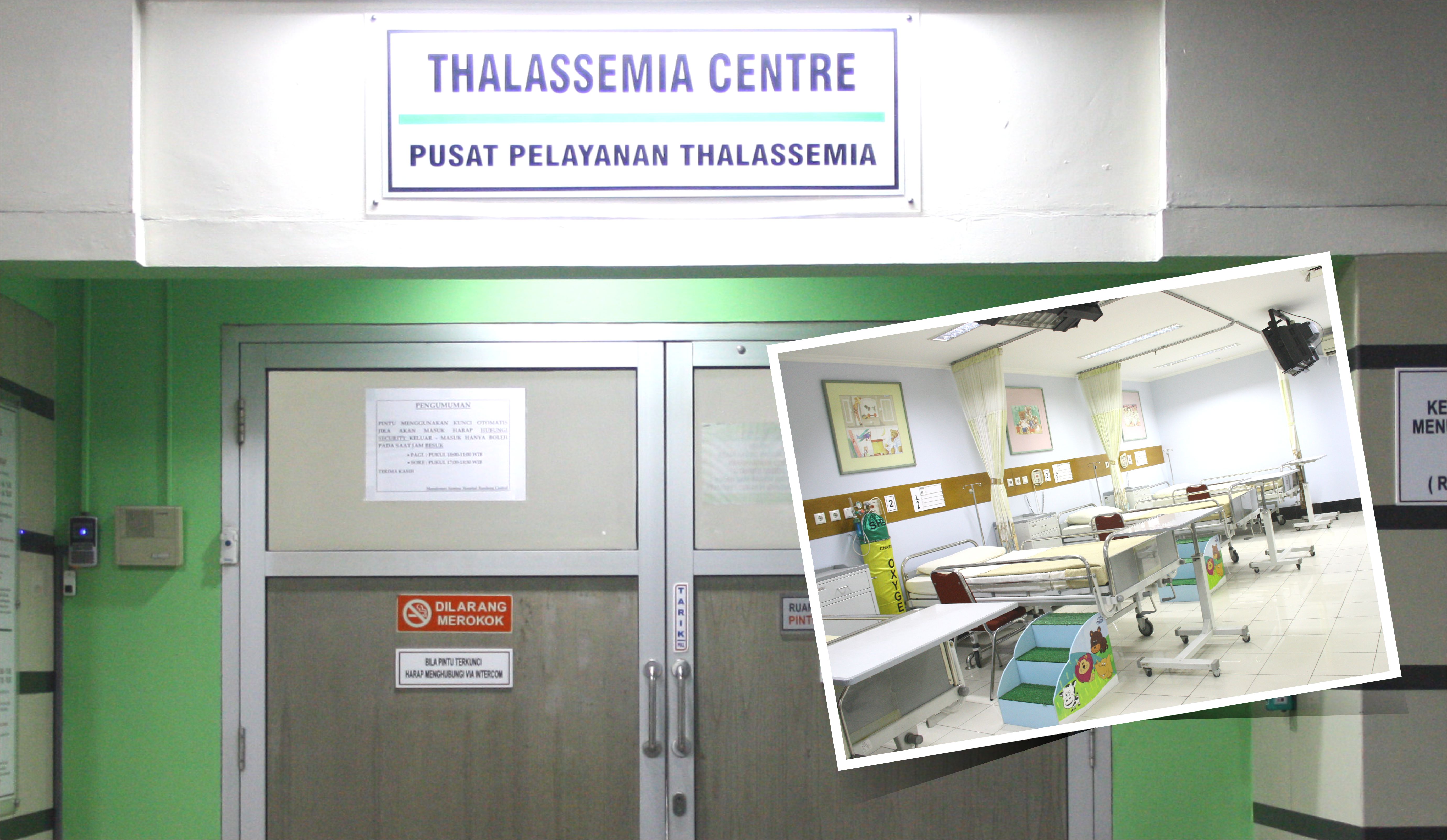 Thalassemia Center